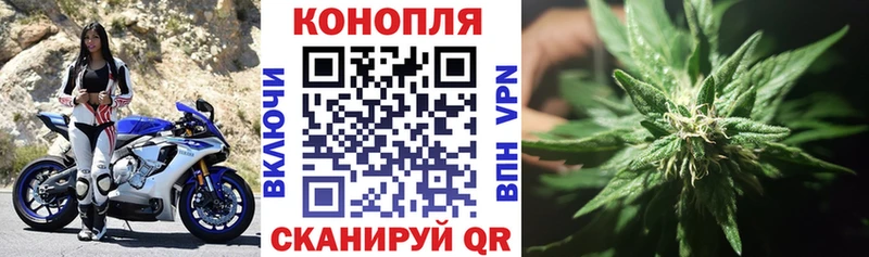 Купить  Ивантеевка  Бошки марихуана SATIVA & INDICA 